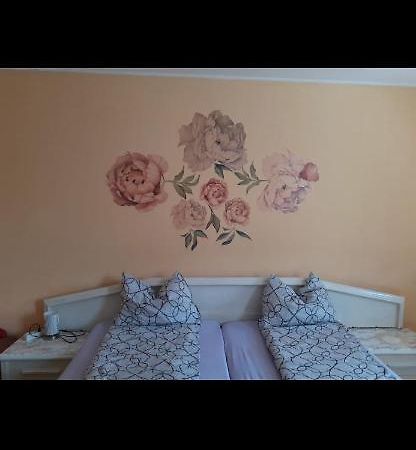 Made In Transilvania Segesvár Kültér fotó