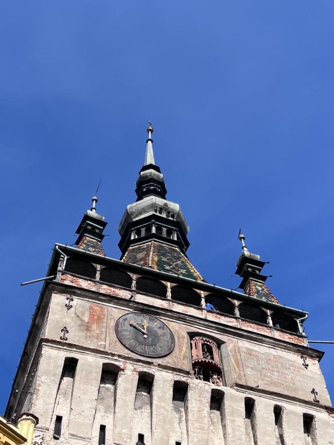 Made In Transilvania Segesvár Kültér fotó