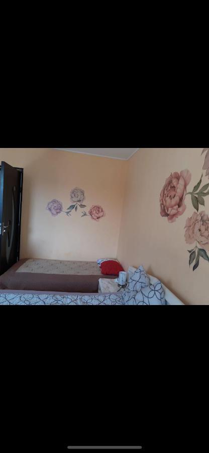 Made In Transilvania Segesvár Kültér fotó