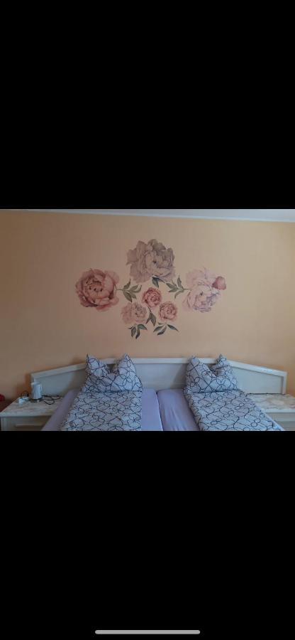 Made In Transilvania Segesvár Kültér fotó