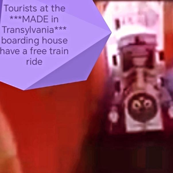 Made In Transilvania Segesvár Kültér fotó