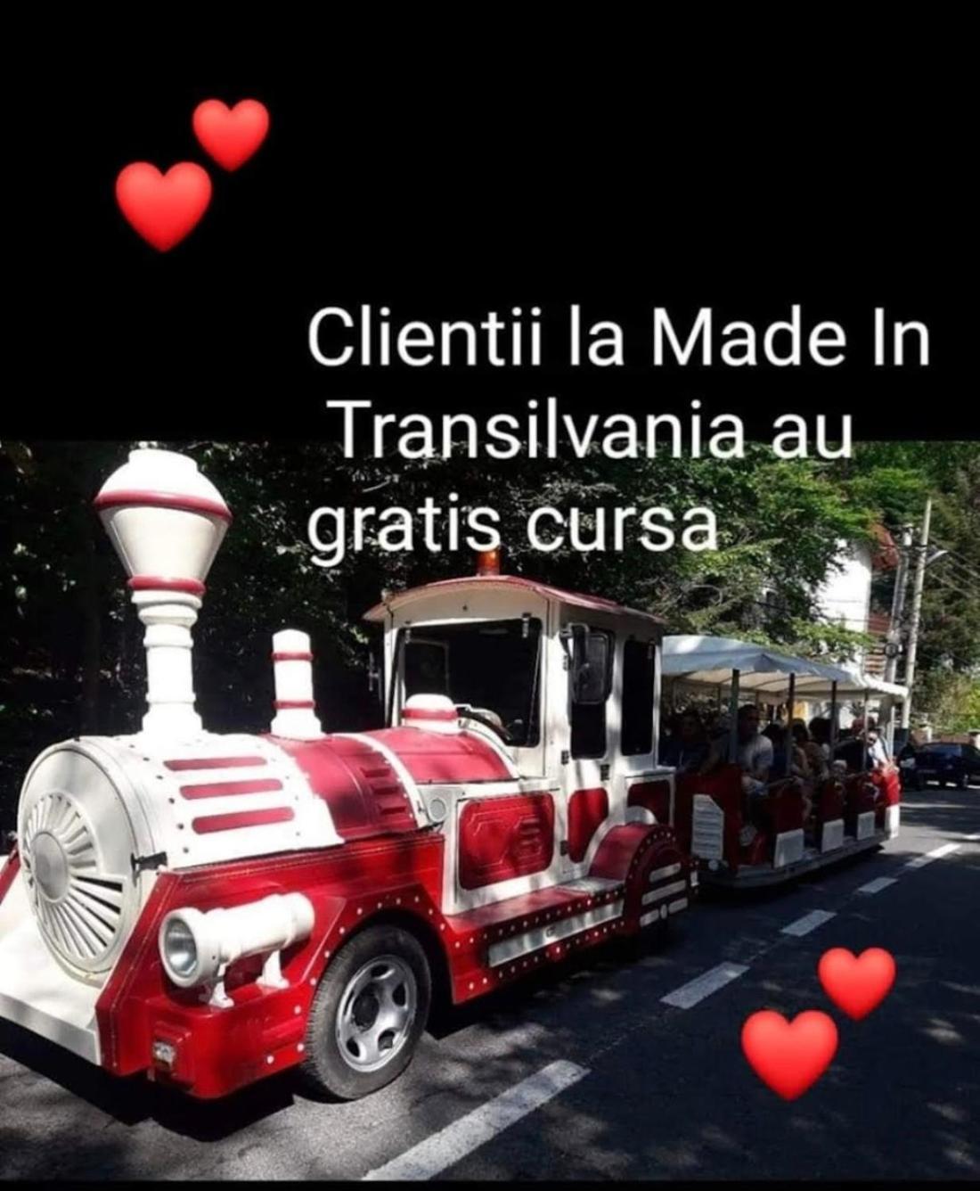 Made In Transilvania Segesvár Kültér fotó